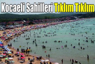 Kocaeli Sahilleri tıklım tıklım