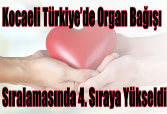 Kocaeli, Türkiye’de organ bağışı sıralamasında 4. sıraya yükseldi