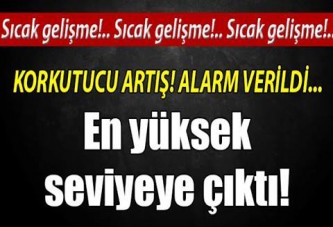 Korkutucu artış!