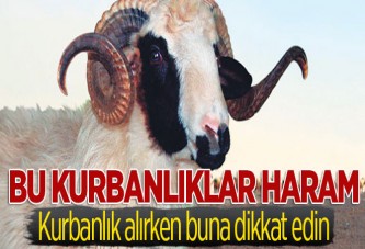 Müftü uyardı: Bu kurbanlıklar haram