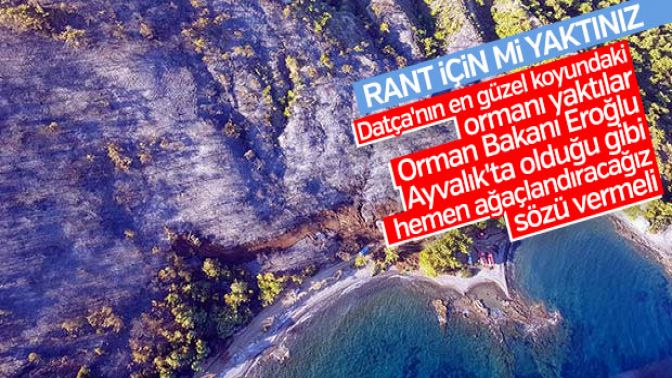 Muğlada şüpheli orman yangını