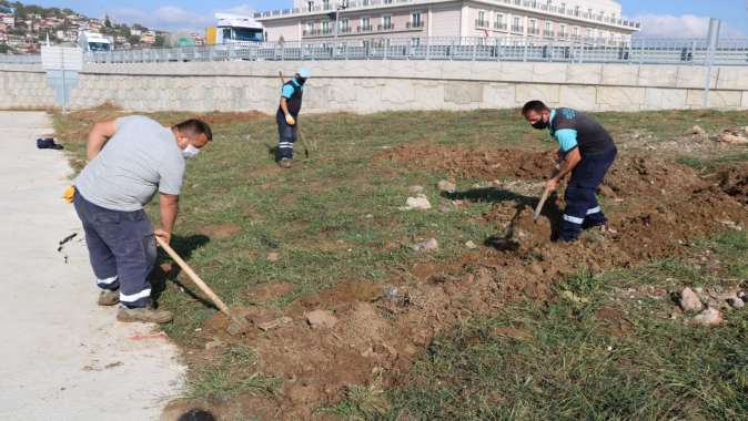 Otogar Köprülü Kavşağı yeşillendiriliyor