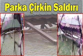 Parka Çirkin Saldırı