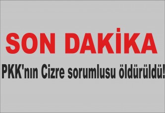 PKK'nın Cizre sorumlusu öldürüldü!