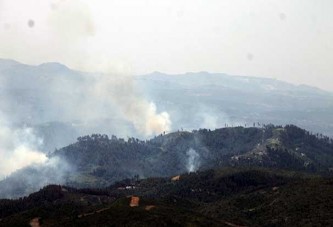 Suriye Ordusu Türkmen Dağı'nın tamamını aldı!