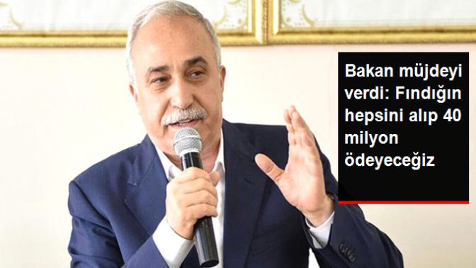 Tarım Bakanı Fakıbabadan Üreticilere Müjde: Tüm Fındığı Alacağız