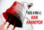 Acil 0 rh(+) kan aranıyor