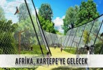 Afrika, Kartepe'ye gelecek