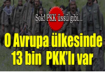 Almanya'da 13 bin PKK'lı var!