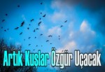 Artık kuşlar özgür uçacak