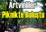 Artvinliler piknikte buluştu