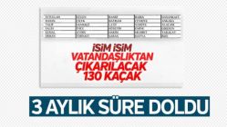 Bakanlık yayınladı: Vatandaşlıktan çıkarılacaklar listesi