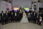 Başkan Toltar, düğün davetlerine katıldı