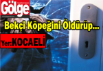 Bekçi köpeğini öldürüp