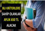 BU KRİTERLERE SAHİP OLANLAR AYLIK 650 TL ALACAK