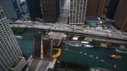 Chicago'da 60 bin plastik ördek nehre bırakıldı
