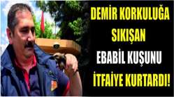 Demir korkuluğa sıkışan ebabil kuşunu itfaiye kurtardı!
