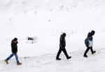 Doğu Anadolu'da kar yağışı ulaşımı aksattı.