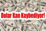 Dolar Kan Kaybediyor!