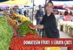 Domatesin fiyatı 5 liraya çıktı