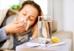 Domuz gribine karşı 6 kritik kentte grip timi