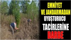 Emniyet ve jandarmadan uyuşturucu tacirlerine darbe