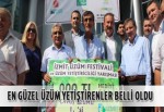 En güzel üzüm yetiştirenler belli oldu