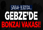 GEBZE’DE BİR BONZAİ VAKASI DAHA!