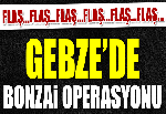 Gebze’de Bonzai Operasyonu