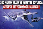 Gebze'de 340 milyon yıllık dinozor bulundu