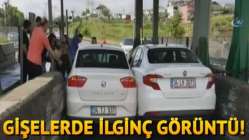 Gişelerde ilginç görüntü! İnat edince...