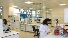 GTÜ 2025 YÖK Raporunda Araştırma ve Değişim Lideri
