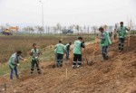 Hedef yaşanabilir ve daha yeşil bir Kocaeli