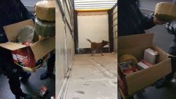 Hurma kutularından 184 kilo eroin çıktı