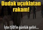 IŞİD'in geliri dudak uçuklattı!