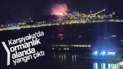 İzmir'de orman yangını