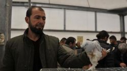 İzmit'te Güvercin Festivali düzenlendi