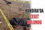 Kandıra'da ceset bulundu
