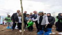 Karamürsel’de yanan bölge 3 bin fidanla yeniden yeşerecek