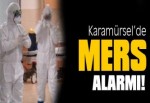 Karamürsel'de MERS alarmı!