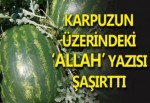 Karpuzun üzerindeki yazı şaşırttı