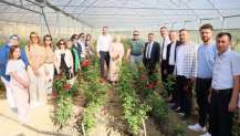 Kocaeli’nin ilk gül serası kadın elinden