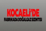 Kocaeli'de Fabrikada Gaz Kaçağı
