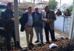 Köylüler Türkkan’a dert yandı
