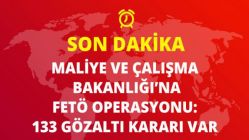 Maliye ve Çalışma Bakanlığı'na FETÖ Operasyonu: 133 Gözaltı Kararı Var