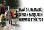 Mavi dil hastalığı kurban satışlarını olumsuz etkiliyor