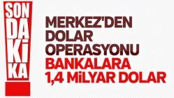 Merkez Bankası'ndan dolar hamlesi