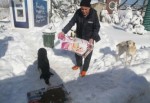 Sokak Hayvanlarına 1 ton 250 kilo kuru mama