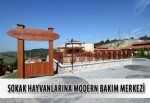 Sokak hayvanlarına modern bakım merkezi