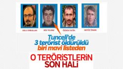 Tunceli'de öldürülen teröristler